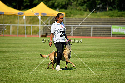 Stylish Motion`s Apple